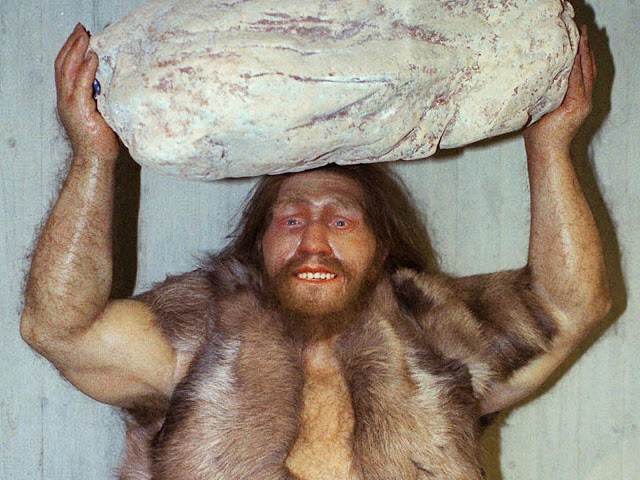 Riassunto Uomo di Neanderthal